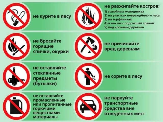 Профилактическая акция «Неделя безопасности».